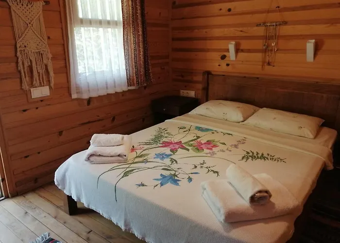 AlaybeyTiny House Incir - Kayakoy Jungle Camping- Tiny House Kayakoy别墅照片