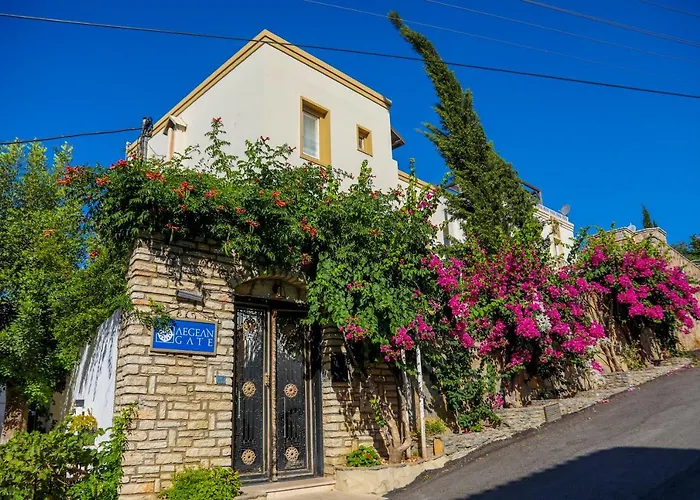 The Aegean Gate Hotel (Adults Only) Bodrum photo