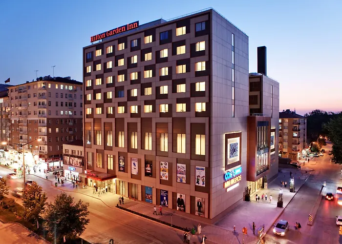 Hilton Garden Inn Kutahya photo