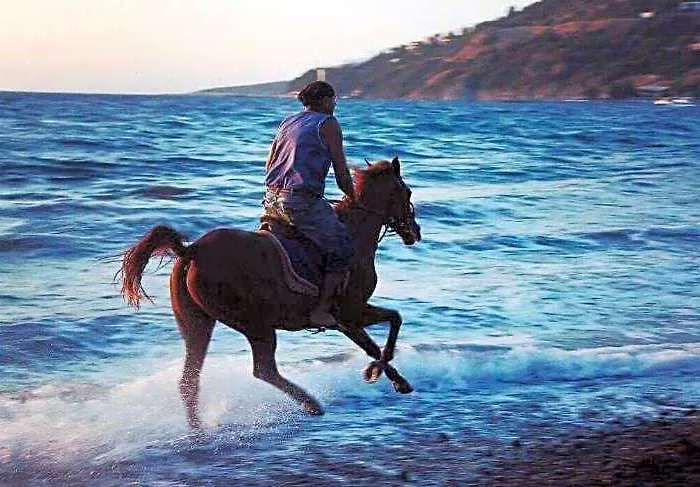Equestrian And Beach Club Giris φωτογραφία