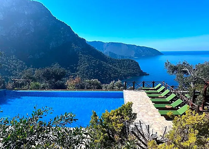 Olive Garden Kabak Otel Boğaziçi fotoğrafı
