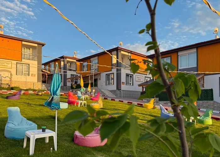 Beyaz Inci Termal Konaklari Ihsaniye  photo