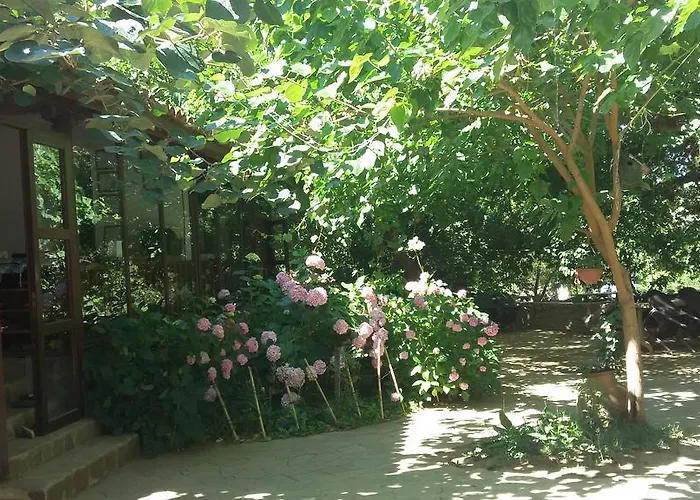 Birgi Cinaralti Pension Odemis photo