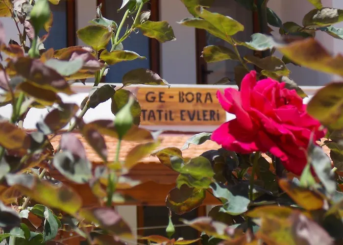 Gebora Suits & Tatil Evleri パラムップクの写真